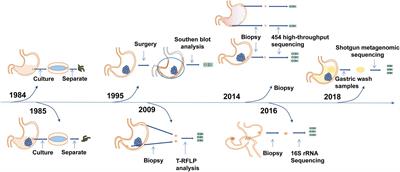 A literature review on the potential clinical implications of streptococci in gastric cancer